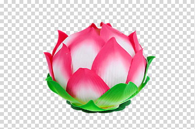 편집 편집이미지 기념일 꽃잎 꽃 종교 불교 연꽃 사람없음 공휴일 부처님오신날 등불 불교용품 오브젝트 연등 PNG 편집소스 식물 종교용품 조명 이벤트 파일형식