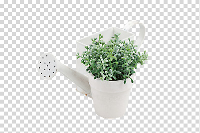 식물 편집 편집이미지 화분 화초 사람없음 물뿌리개 도구 공구 허브 물통 오브젝트 PNG 양철통 편집소스 파일형식