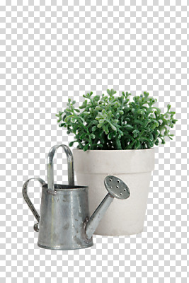 식물 편집 편집이미지 화분 화초 사람없음 물뿌리개 도구 공구 허브 물통 오브젝트 PNG 양철통 편집소스 파일형식