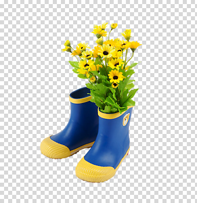 식물 편집 편집이미지 잡화 꽃 신발 개구리 장화 사람없음 장난감 모형 오브젝트 한켤레 PNG 켤레 편집소스 1 양서류 파일형식