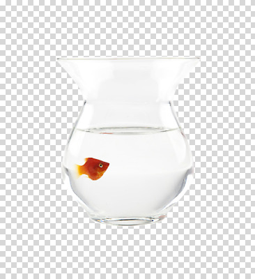 동물 편집 편집이미지 한마리 관상어 어류 사람없음 물 항아리 어항 오브젝트 금붕어 PNG 편집소스 자연요소 1 수중동물 도자기 파일형식