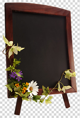 스튜디오촬영 식물 편집 편집이미지 계절 꽃 줄기 백그라운드 잎 프레임 실내 사람없음 칠판 봄 알림 오브젝트 식물백그라운드 PNG 편집소스 내부 파일형식