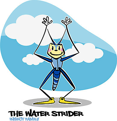 EPS 동물 구름 캐릭터 한마리 알파벳 동물캐릭터 곤충 일러스트 하늘 사람없음 단어 벌레 곤충캐릭터 성충 소금쟁이 일러캐릭터 자연요소 문자 1 영어 파일형식 벡터