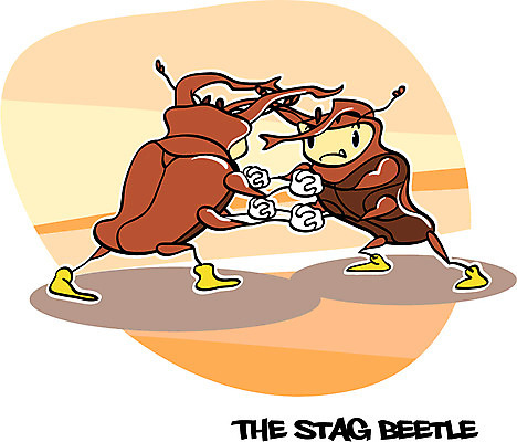 EPS 동물 캐릭터 알파벳 동물캐릭터 곤충 두마리 일러스트 사람없음 단어 벌레 싸움 곤충캐릭터 씨름 성충 사슴벌레 일러캐릭터 문자 영어 스포츠 2 모션 전통놀이 파일형식 벡터