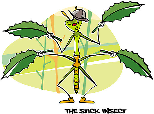 EPS 동물 캐릭터 한마리 알파벳 동물캐릭터 곤충 일러스트 나뭇잎 사람없음 단어 나뭇가지 벌레 곤충캐릭터 성충 대벌레 휘파람 일러캐릭터 나무 문자 1 영어 잎 파일형식 벡터