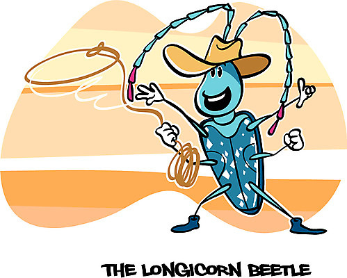 EPS 동물 캐릭터 모자 알파벳 밧줄 동물캐릭터 곤충 일러스트 사람없음 단어 카우보이 벌레 곤충캐릭터 카우보이모자 올가미 성충 하늘소 일러캐릭터 문자 모자_잡화 영어 잡화 줄 파일형식 벡터