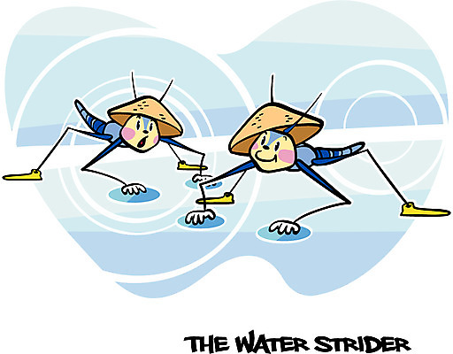 EPS 동물 캐릭터 알파벳 동물캐릭터 곤충 두마리 일러스트 논 사람없음 단어 연못 벌레 베트남 곤충캐릭터 성충 동심원 소금쟁이 전통모자 일러캐릭터 문자 모자_잡화 영어 2 농업 동남아시아 파일형식 벡터