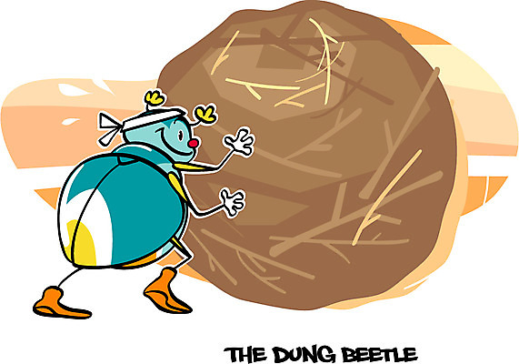 EPS 동물 캐릭터 한마리 알파벳 동물캐릭터 곤충 일러스트 사람없음 단어 벌레 곤충캐릭터 성충 공굴리기 쇠똥구리 일러캐릭터 문자 1 영어 굴리기 파일형식 벡터