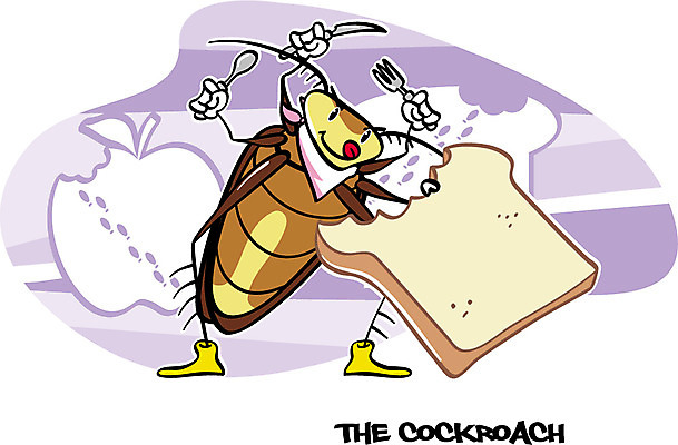 EPS 동물 캐릭터 한마리 알파벳 음식 동물캐릭터 곤충 포크 일러스트 사람없음 단어 숟가락 나이프 벌레 발자국 식빵 곤충캐릭터 성충 바퀴벌레 일러캐릭터 문자 1 식기 영어 빵 자국 수저 칼 파일형식 벡터