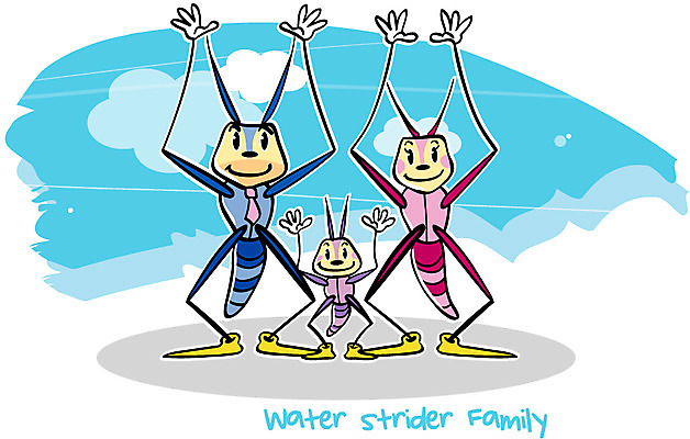 EPS 동물 캐릭터 알파벳 동물캐릭터 곤충 일러스트 가족 넥타이 세마리 사람없음 단어 벌레 곤충캐릭터 성충 소금쟁이 일러캐릭터 문자 영어 잡화 관계 3 파일형식 벡터