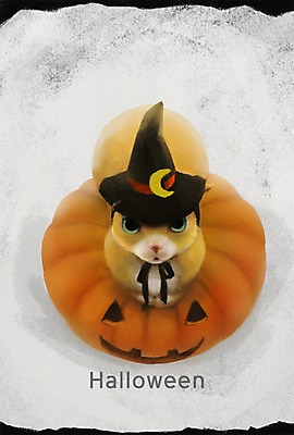 PSD 동물 한마리 백그라운드 일러스트 포유류 호박 사람없음 반려동물 귀여움 고양이 할로윈 마법사 국내일러스트 1 컨셉 채소 파일형식