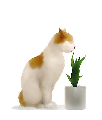 PSD 식물 동물 한마리 화분 백그라운드 일러스트 포유류 사람없음 반려동물 귀여움 고양이 냄새 국내일러스트 1 컨셉 파일형식