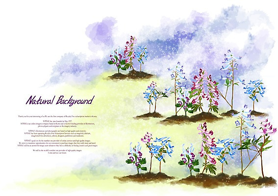 PSD 식물 꽃 백그라운드 꽃백그라운드 일러스트 봄꽃 사람없음 파란색 자주색 현호색 국내일러스트 컬러 봄 파일형식