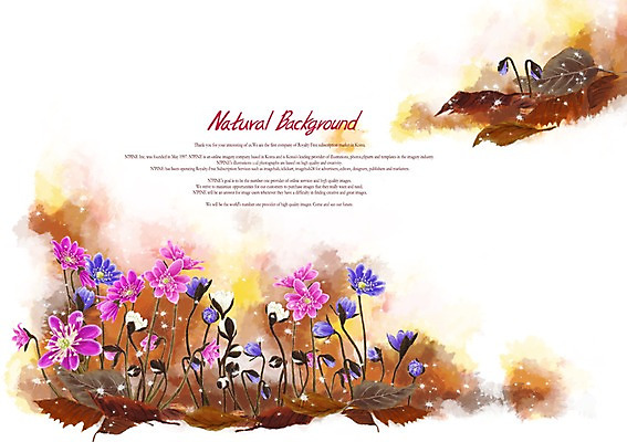 PSD 식물 꽃 분홍색 백그라운드 꽃밭 꽃백그라운드 일러스트 사람없음 보라색 들꽃 흰색 노루귀 국내일러스트 컬러 파일형식