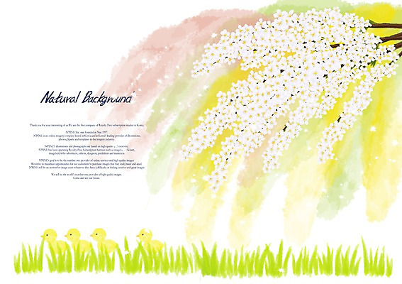 PSD 식물 꽃 백그라운드 꽃백그라운드 여러마리 일러스트 꽃나무 병아리 잔디 초원 사람없음 흰색 조팝나무 국내일러스트 나무 컬러 다수 조류 파일형식