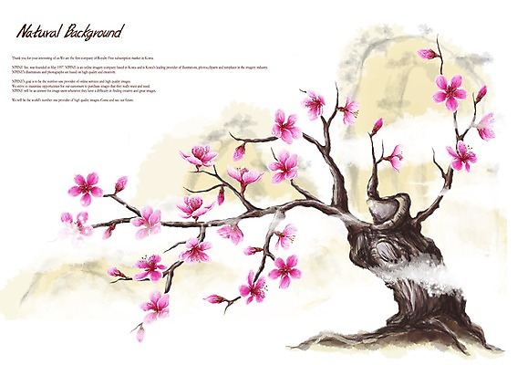 PSD 식물 꽃 분홍색 백그라운드 꽃백그라운드 일러스트 꽃나무 사람없음 나뭇가지 복사꽃 복사나무 국내일러스트 나무 컬러 파일형식