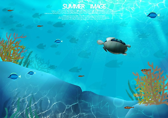 PSD 동물 계절 바다 백그라운드 일러스트 어류 풍경 사람없음 여름 바닷속 산호 열대어 바다거북 국내일러스트 수중 수중동물 자포동물 거북이 파일형식