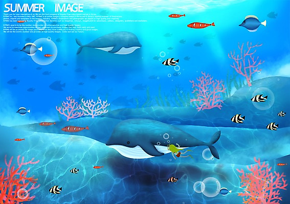 PSD 동물 바다 다수 백그라운드 일러스트 어류 한명 풍경 10대 여름 바닷속 수영 고래 열대어 잠수 스쿠버다이빙 수족관 여자만 여자한명만 십대만 십대여자만 십대여자한명만 국내일러스트 1 계절 포유류 청소년 사람 수중 수중동물 수상스포츠 파일형식