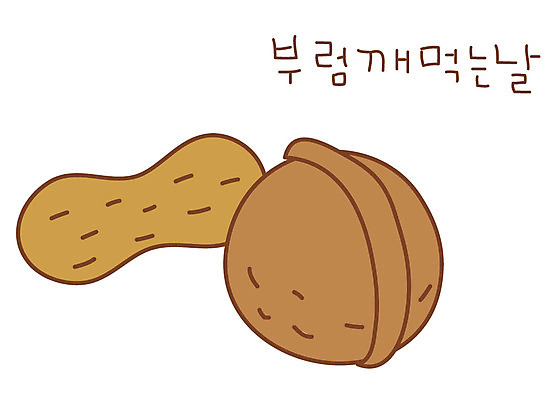 EPS 아이콘 전통 명절 열매 음식 스티커 사람없음 농작물 견과류 껍질 땅콩 호두 정월대보름 부럼 2D아이콘 식물 기념일 농업 파일형식 벡터