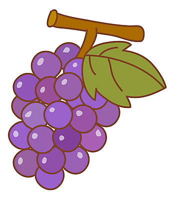 EPS 식물 아이콘 열매 음식 줄기 컬러 스티커 한송이 과일 포도 사람없음 농작물 한개 보라색 포도송이 2D아이콘 1 농업 송이 파일형식 벡터