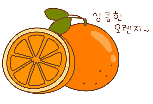 EPS 식물 아이콘 열매 음식 컬러 조각 스티커 오렌지 과일 단면 사람없음 주황색 두개 반쪽 슬라이스 2D아이콘 2 파일형식 벡터