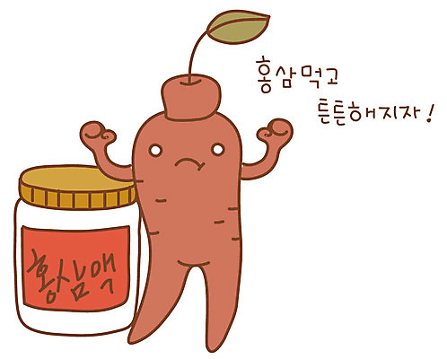 EPS 아이콘 음식 스티커 건강 사람없음 약 한의학 약재 인삼 한약 건강보조식품 홍삼 홍삼액기스 2D아이콘 의학 삼 즙 건강식품 파일형식 벡터