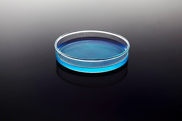 포토 JPG 스튜디오촬영 교육 컬러 과학 의학 학교 의료기기 실내 병원 실험기구 실험 사람없음 치료 파란색 도구 의료용품 액체 화학 오브젝트 샬레 국내포토 내부 파일형식