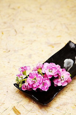 포토 JPG 스튜디오촬영 식물 그릇 접시 꽃 분홍색 실내 사람없음 스토크 국내포토 식기 컬러 내부 파일형식