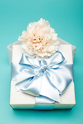 포토 JPG 스튜디오촬영 식물 꽃 리본 한송이 포장 실내 선물 사람없음 장식 선물상자 상자 흰색 카네이션 국내포토 1 컬러 내부 송이 파일형식