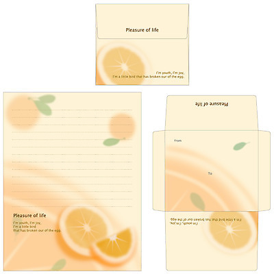 EPS 템플릿 열매 조각 오렌지 과일 단면 봉투 편지봉투 프레임 틀 사람없음 세트 주황색 편지 편지지 레터폼 슬라이스 이미지템플릿 식물 컬러 파일형식 벡터