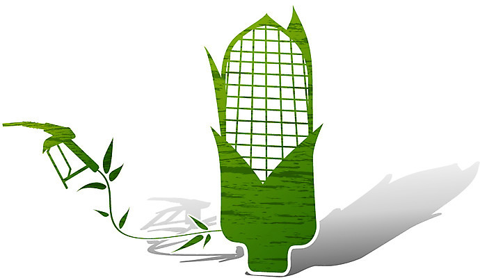 EPS 식물 아이콘 캠페인 그림자 옥수수 사람없음 초록색 자연보호 환경 그린캠페인 그린에너지 환경보전 연료 그린아이콘 주유기 2D아이콘 컬러 자연 곡류 기계 에너지 보호 사회이슈 주유 파일형식 벡터