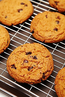 포토 JPG 스튜디오촬영 쟁반 실내 사람없음 쿠키 제과 초콜릿 홈베이킹 제빵 초코쿠키 국내포토 디저트 내부 제과제빵 파일형식