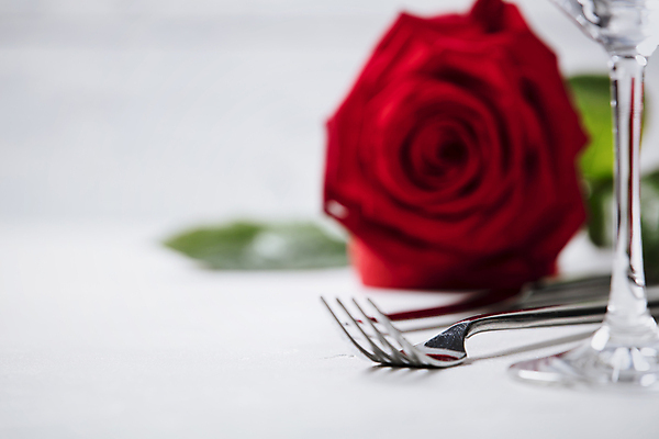 포토 JPG 해외이미지 포크 와인잔 실내 사람없음 아웃포커스 장미 상차림 준비 흰배경 해외202004 플레이팅 해외포토 식기 꽃 백그라운드 술잔 촬영기법 내부 흰색 파일형식