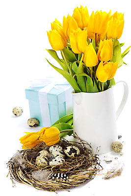 포토 JPG 해외이미지 리본 꽃다발 실내 사람없음 선물상자 꽃병 튤립 껍질 둥지 깃털 흰배경 메추리알 해외202004 해외포토 꽃 백그라운드 선물 내부 상자 알 흰색 파일형식