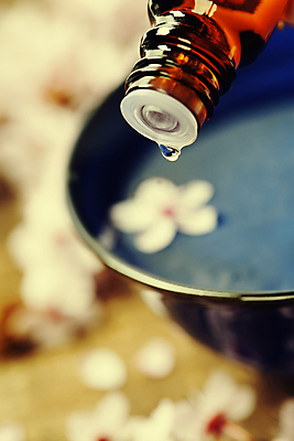 포토 JPG 해외이미지 실내 근접촬영 사람없음 아웃포커스 흐름 벚꽃 사발 스파용품 아로마테라피 아로마오일 해외202004 해외포토 꽃 뷰포인트 컨셉 촬영기법 내부 스파 사기그릇 오일_화장품 오브젝트 테라피 파일형식