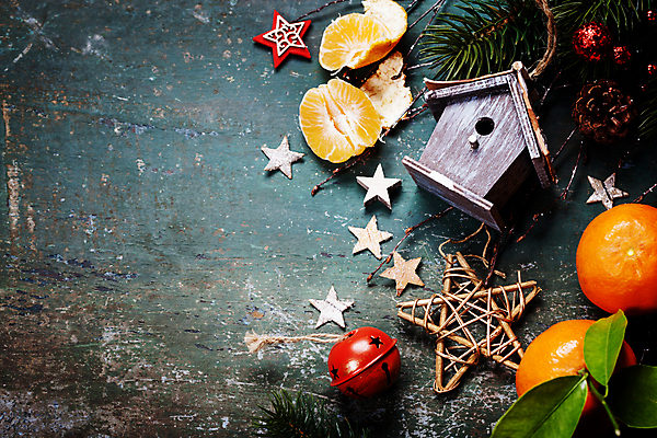 포토 JPG 해외이미지 별 크리스마스장식 크리스마스 귤 사람없음 하이앵글 나무바닥 솔방울 새장 침엽수 오너먼트 카피스페이스 해외202004 해외포토 자연요소 나무 기념일 뷰포인트 과일 바닥 공백 케이지 파일형식