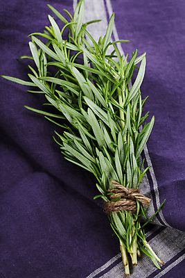 포토 JPG 해외이미지 실내 사람없음 다발 허브 노끈 로즈메리 해외202004 해외포토 식물 줄 내부 파일형식