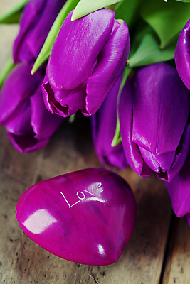 포토 JPG 해외이미지 근접촬영 사람없음 장식 튤립 하트 나무배경 해외202004 해외포토 모양 꽃 뷰포인트 백그라운드 파일형식