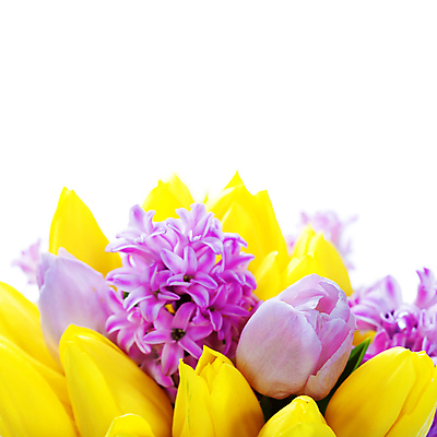포토 JPG 해외이미지 꽃다발 봄꽃 실내 근접촬영 사람없음 튤립 흰배경 히아신스 카피스페이스 해외202004 해외포토 꽃 뷰포인트 백그라운드 내부 봄 공백 흰색 파일형식
