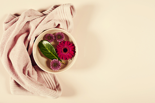 포토 JPG 해외이미지 그릇 꽃 잎 실내 사람없음 수건 스파용품 거베라 아로마테라피 카피스페이스 분홍색배경 해외202004 해외포토 식물 식기 분홍색 백그라운드 내부 위생용품 스파 공백 오브젝트 테라피 파일형식