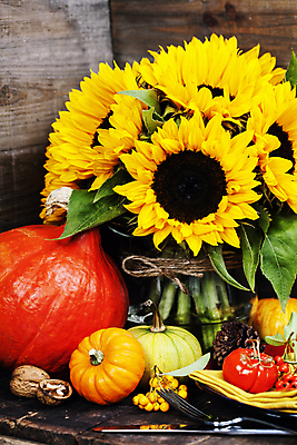 포토 JPG 해외이미지 호박 해바라기 실내 사람없음 해외202004 해외포토 꽃 채소 내부 파일형식