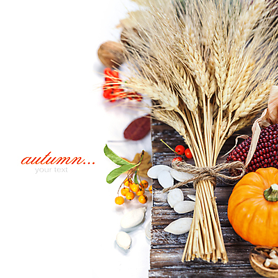 포토 JPG 해외이미지 열매 리본 낙엽 호박 실내 타이포그라피 사람없음 농작물 가을 흰배경 호두 추수감사절 나무받침 카피스페이스 흑찰옥수수 해외202004 해외포토 식물 문자 계절 기독교 백그라운드 잎 농업 채소 내부 목재 공백 견과류 흰색 받침대 찰옥수수 파일형식