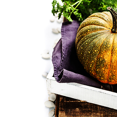 포토 JPG 해외이미지 호박 쟁반 실내 사람없음 농작물 가을 천 흰배경 추수감사절 카피스페이스 해외202004 해외포토 계절 기독교 백그라운드 농업 채소 내부 공백 흰색 직물 파일형식