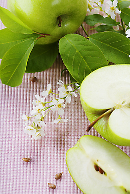 포토 JPG 해외이미지 꽃 잎 실내 사람없음 신선 사과 청사과 반쪽사과 사과반쪽 분홍색배경 해외202004 해외포토 식물 분홍색 백그라운드 과일 내부 파일형식