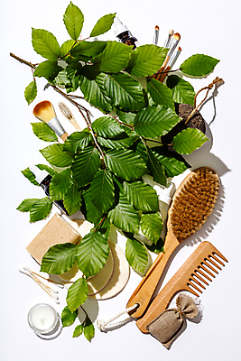 포토 JPG 해외이미지 나뭇잎 실내 사람없음 하이앵글 자연보호 머리빗 흰배경 친환경 메이크업브러쉬 면봉 제로웨이스트 해외202004 대나무칫솔 해외포토 뷰포인트 백그라운드 잎 자연 내부 환경 그린캠페인 흰색 붓 미용용품 보호 칫솔 사회이슈 파일형식