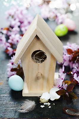 포토 JPG 해외이미지 나뭇잎 부활절 사람없음 아웃포커스 벚꽃 나뭇가지 깃털 부활절계란 나무바닥 새장 메추리알 나무탁자 알껍데기 해외202004 해외포토 나무 기념일 꽃 잎 탁자 바닥 촬영기법 계란 알 케이지 파일형식