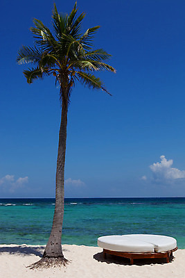 포토 JPG 해외이미지 모래 파도 바다 섬 여행 자연 하늘 휴가 휴식 열대 멕시코 풍경 사람없음 야외 목재 물 여름 파란색 야자수 쌓기 평화 우주 항구 침묵 낭만 전원 휴양지 유카탄 이국적 칸쿤 터키석 파라다이스 수평선 해외202004 해외202105 해외포토 자연요소 나무 계절 컬러 컨셉 북아메리카 재료 교통시설 모션 소리 장소 전기에너지 보석 생태계 파일형식