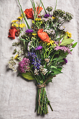 포토 JPG 해외이미지 꽃다발 실내 사람없음 들꽃 흰배경 노끈 해외202004 해외포토 꽃 줄 백그라운드 내부 흰색 파일형식