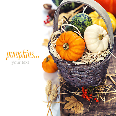 포토 JPG 해외이미지 열매 낙엽 호박 실내 타이포그라피 사람없음 농작물 바구니 벼 가을 볏짚 흰배경 카피스페이스 해외202004 해외포토 식물 문자 계절 백그라운드 잎 농업 채소 곡류 내부 공백 흰색 짚 파일형식