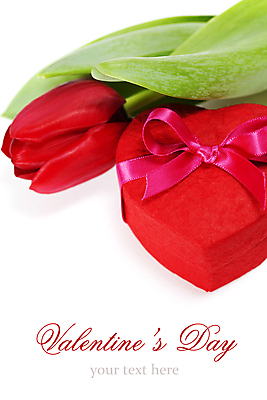 포토 JPG 해외이미지 캘리그라피 사람없음 튤립 흰배경 하트상자 해외202004 해외포토 꽃 백그라운드 상자 흰색 파일형식